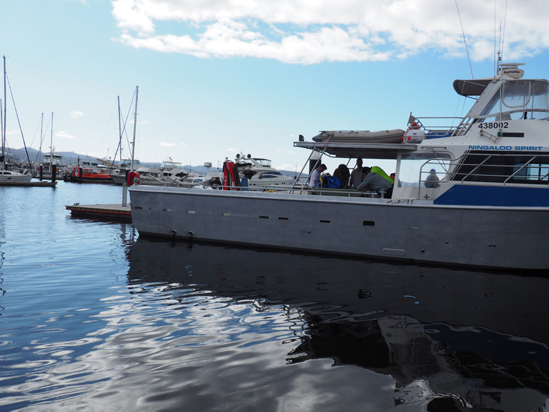 master-24-near-coastal-hobart-seafood-maritime-training-tasmania-1