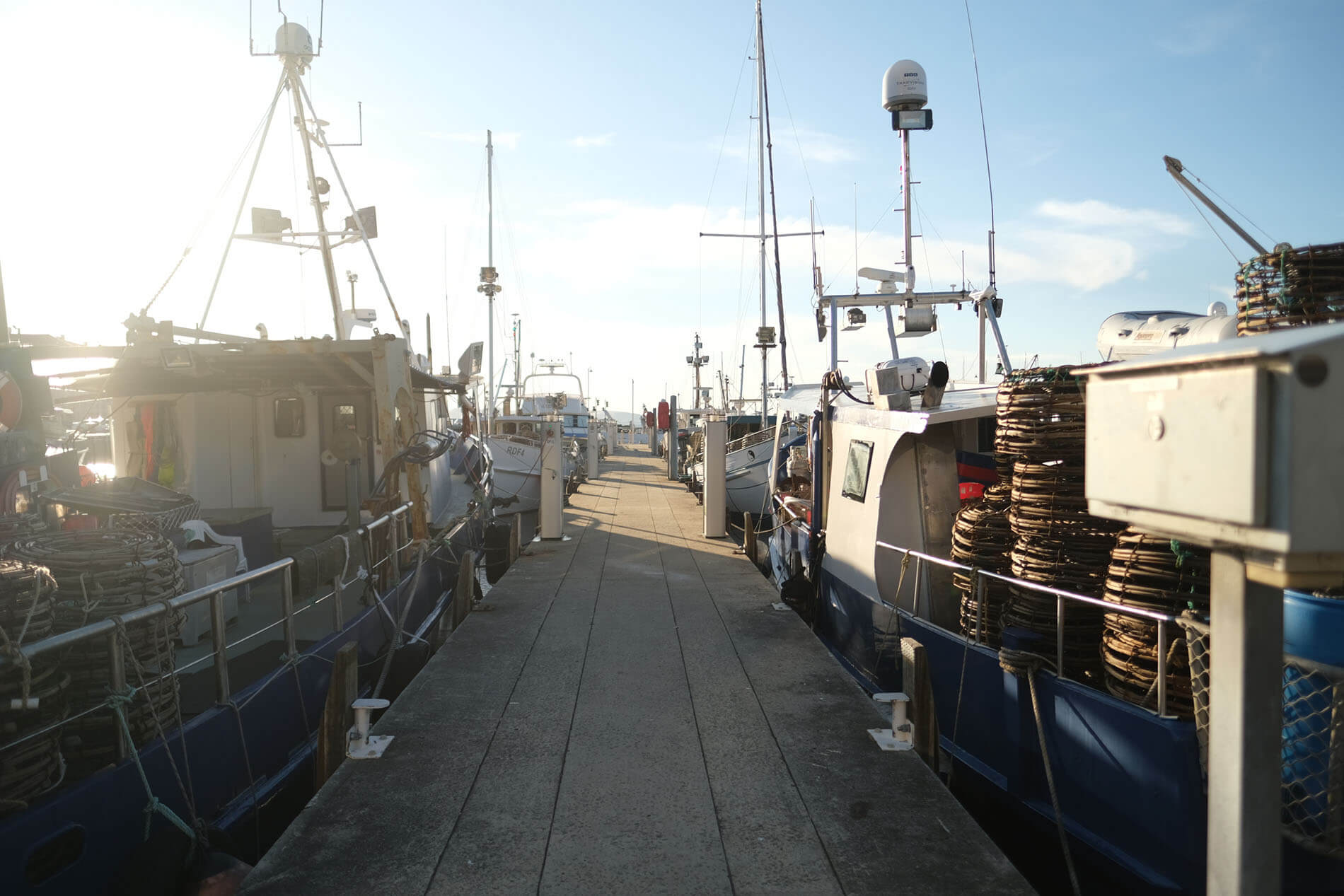 job-trainer-seafood-aquaculture-maritine-marine-ocean-industry-training-school-qualifications-australia-hobart